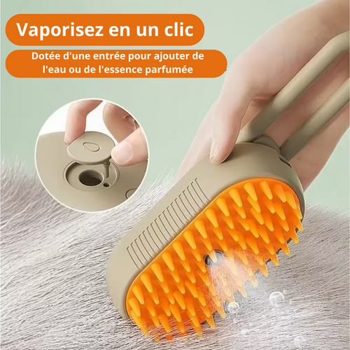 Brosse des Chien